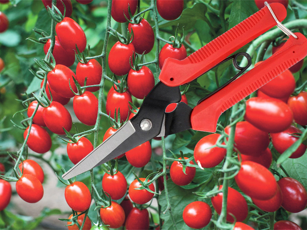 Rankinės genėjimo žirklės krūmų genėjimo žirklės žolės augalų genėjimo žirklės