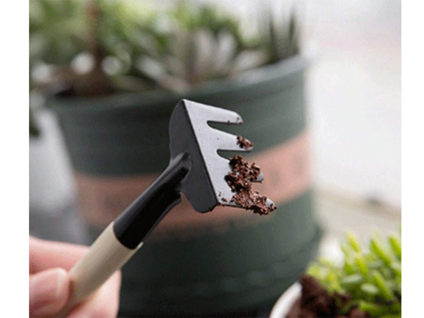 Sodininkystės įrankių rinkinys grėblys kastuvas 3in1 mini sodininkystės įrankiai