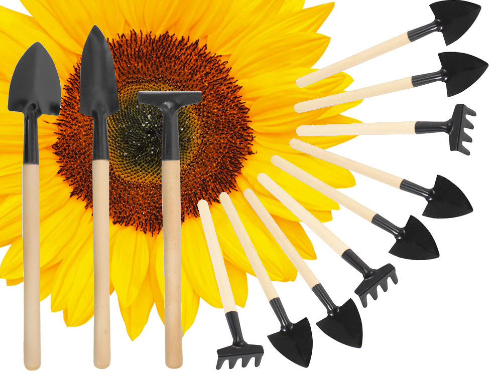 Sodininkystės įrankių rinkinys grėblys kastuvas 3in1 mini sodininkystės įrankiai