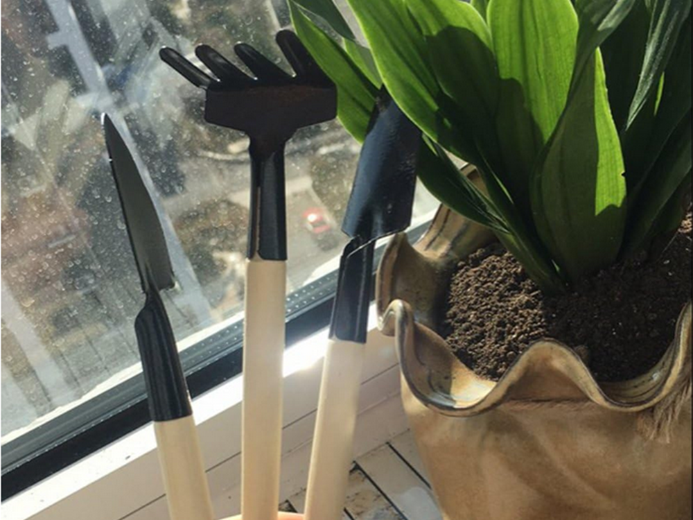 Sodininkystės įrankių rinkinys grėblys kastuvas 3in1 mini sodininkystės įrankiai