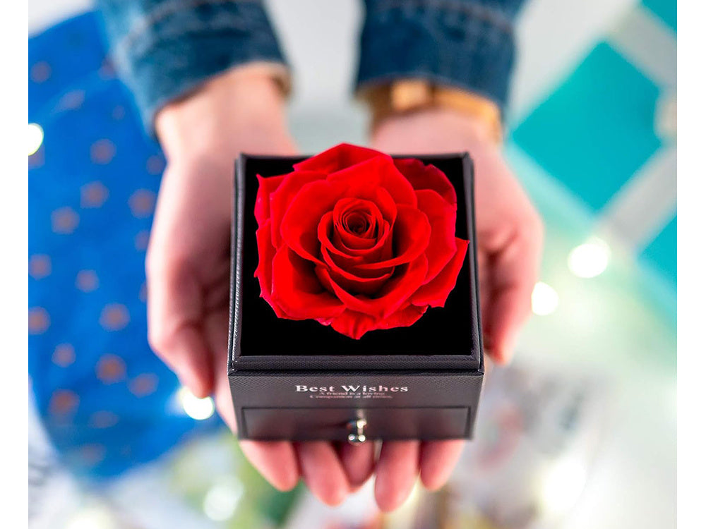 Amžina rožė dėžutėje dovanų dėžutė papuošalų vėrinys stalčius