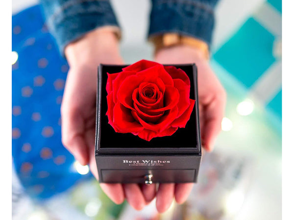 Amžina rožė dėžutėje dovanų dėžutė papuošalų vėrinys stalčius