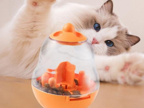 Šunų žaislas skanėstams maistas maistas kamuolys interaktyvus kamuolys kamuolys kamuolys