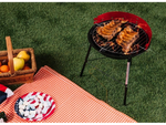 Medžio anglių briketų sodo apvalus nešiojamas turistinis kempingo grilis