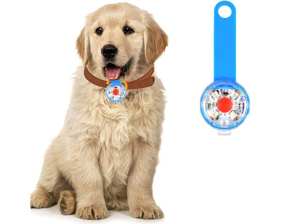 Vadovaujama šviestuvas šuns apykaklės katės apykaklės pakabukas usb