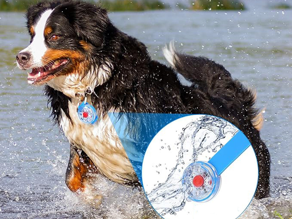 Vadovaujama šviestuvas šuns apykaklės katės apykaklės pakabukas usb