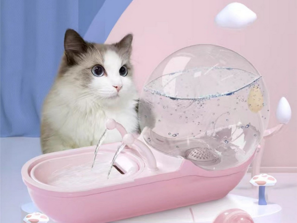 Automatinis gertuvė katės šuns vandens fontanas filtras gertuvė dubuo sraigė