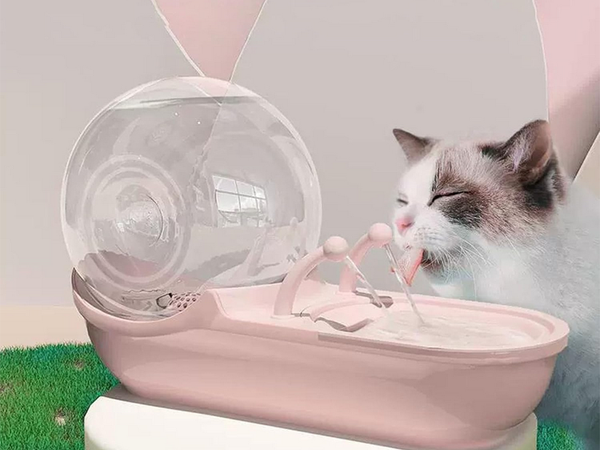 Automatinis gertuvė katės šuns vandens fontanas filtras gertuvė dubuo sraigė