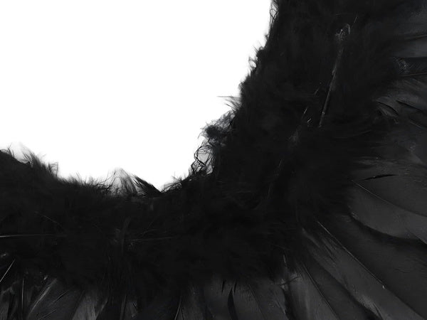 Plunksniniai angelo sparnai juodi pasakos kostiumas cosplay halloween persirengimas