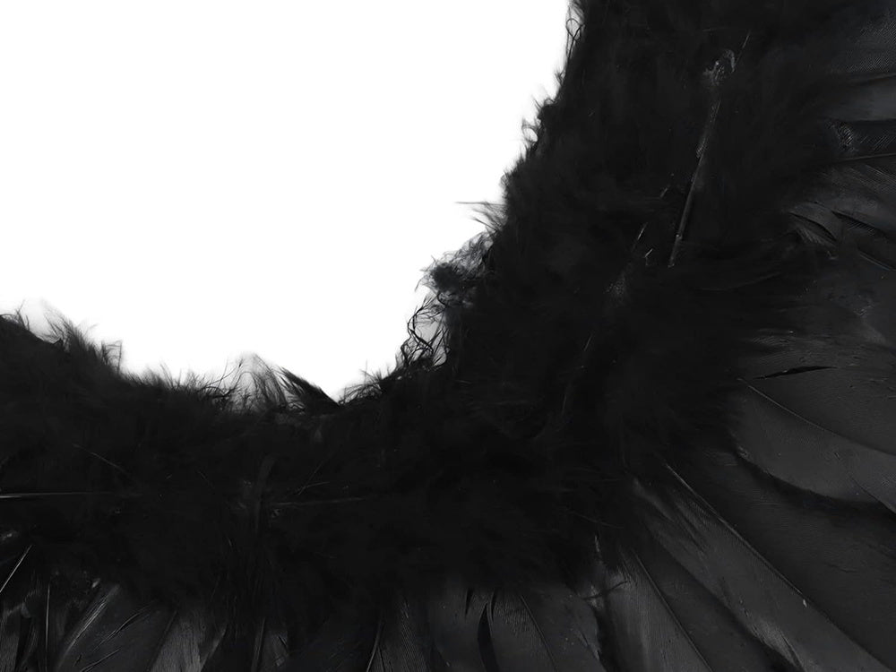 Plunksniniai angelo sparnai juodi pasakos kostiumas cosplay halloween persirengimas