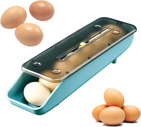 Konteineris kiaušinių dėžutė šaldytuvo organizatorius kiaušinių dėklas