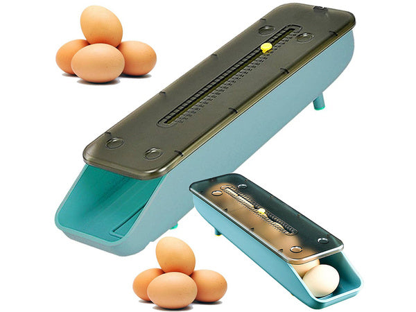 Konteineris kiaušinių dėžutė šaldytuvo organizatorius kiaušinių dėklas