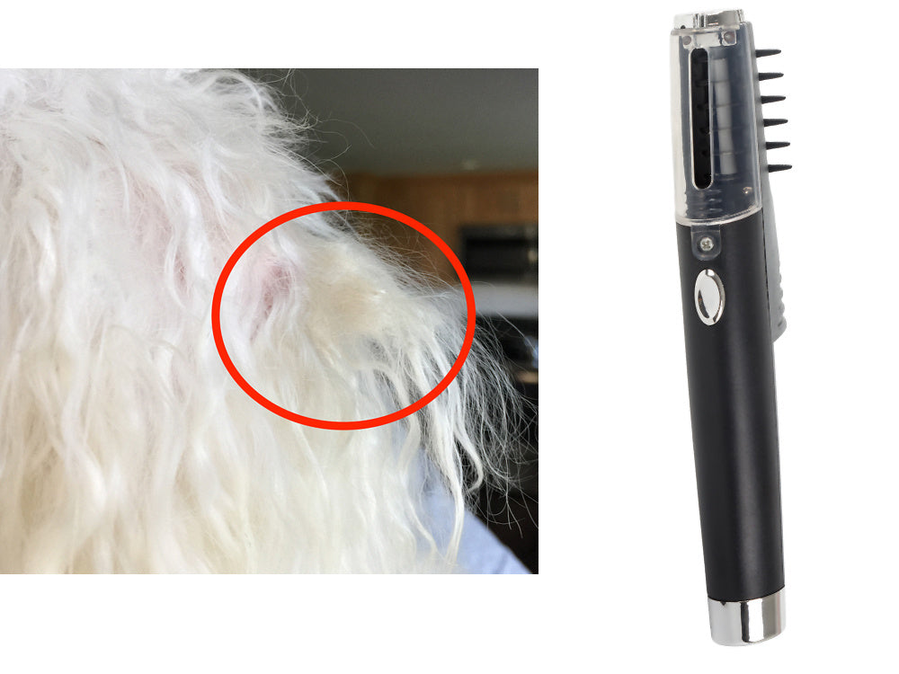 Elektrinis šukų šepetys šunims, skirtas šunims, katėms, gyvūnų plaukams