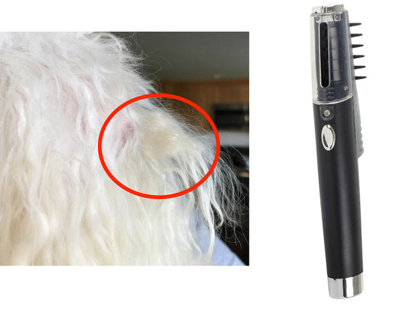 Elektrinis šukų šepetys šunims, skirtas šunims, katėms, gyvūnų plaukams