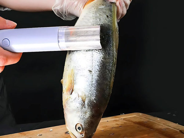 Elektrinis grandiklis grandiklis žuvies žvynų skaleris tarkavimo mašina