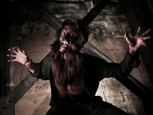 Dirbtinių dantų rinkinys + kraujas helovinas vampyras drakula kandžiai kraujas mėgintuvėlyje