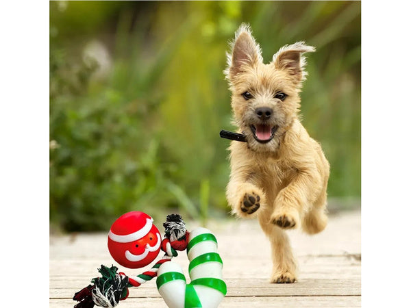 Šunų žaislų rinkinys šuo kramtyti vilkikas 3 vnt mišinys žaislas atostogų dovana