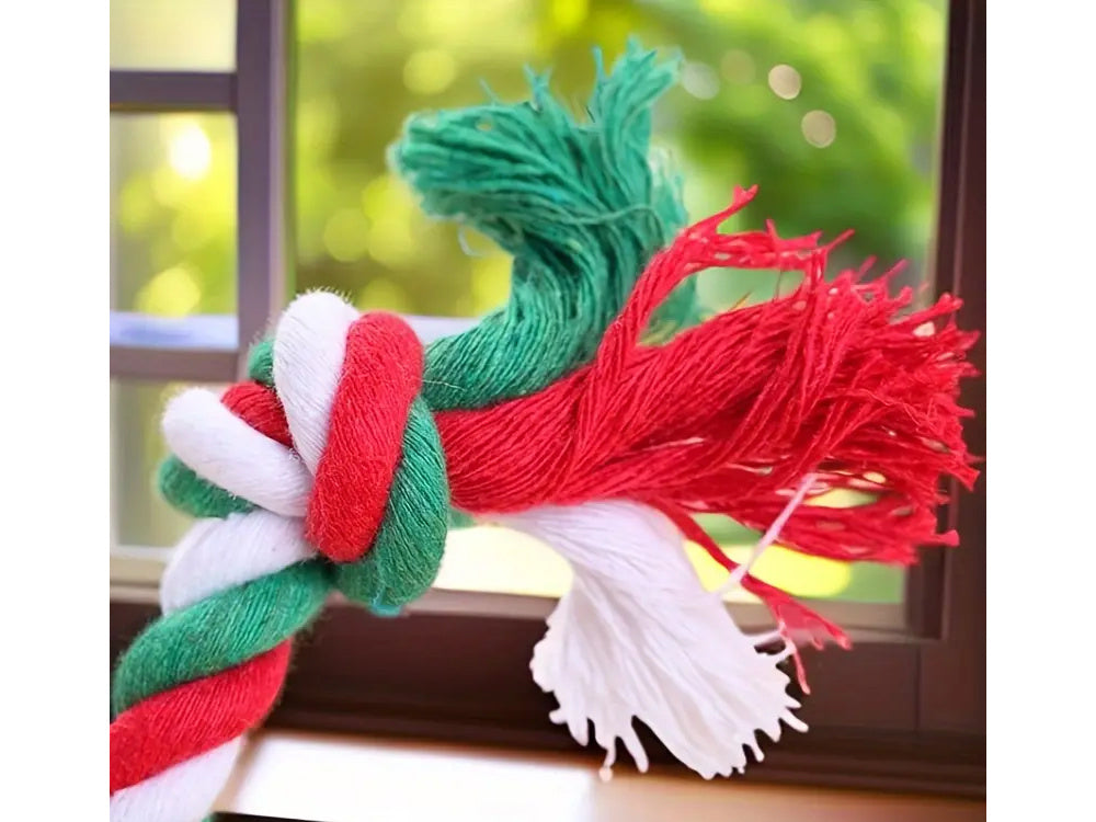 Šunų žaislų rinkinys šuo kramtyti vilkikas 3 vnt mišinys žaislas atostogų dovana