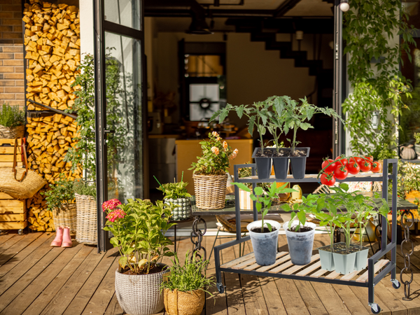 Medinis gėlynas vazoninėms gėlėms dviejų aukštų lentyna ant ratų terasa, Juoda, Szín, Fekete