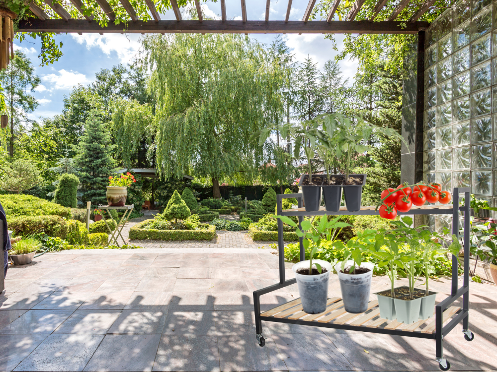 Medinis gėlynas vazoninėms gėlėms dviejų aukštų lentyna ant ratų terasa, Juoda, Szín, Fekete