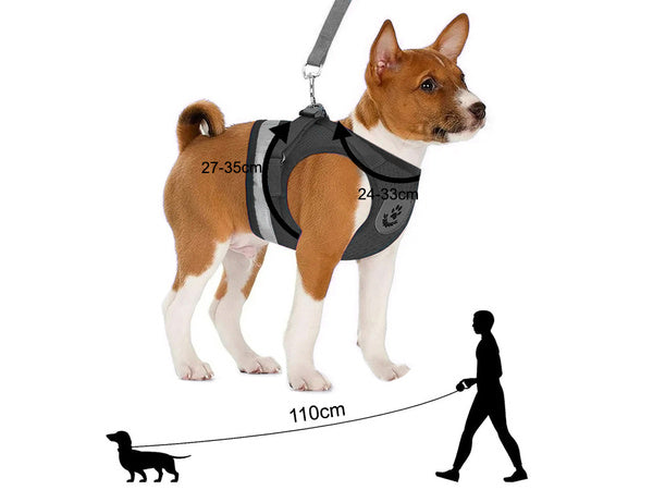 Petnešos be spaudimo vaikščiojimo diržai šuniui, katei, triušiui, minkštas, stiprus atšvaitas