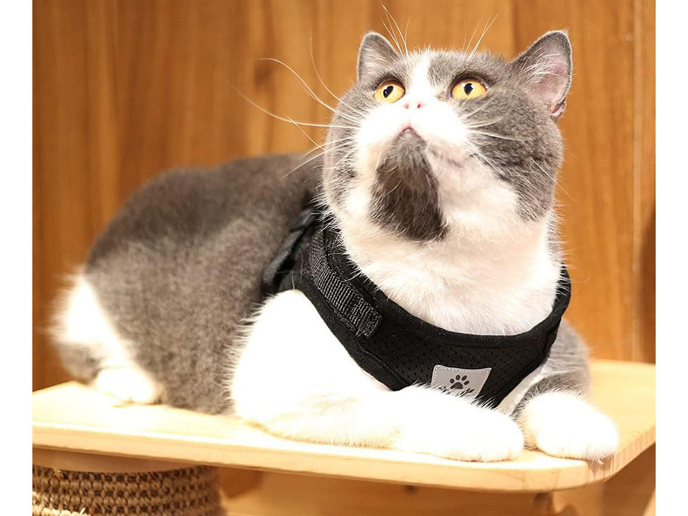 Minkštas minkštas stiprus atšvaitas xs bespaudžiantys vaikščiojimo diržai šunims katėms triušiams minkštas stiprus atšvaitas xs, Juoda, Szín, Fekete