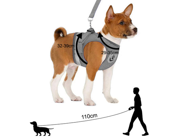 Pakabukas be spaudimo šuniui, katei, triušiui, minkštas, stiprus atšvaitas m, Pilka, Szín, Szürke