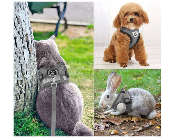 Petnešos be spaudimo vaikščiojimo diržai šuniui, katei, triušiui, minkštas, stiprus atšvaitas