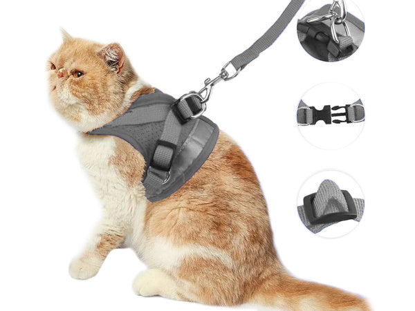 Minkštas minkštas stiprus atšvaitas xs bespaudžiantys vaikščiojimo diržai šunims katėms triušiams minkštas stiprus atšvaitas xs, Pilka, Szín, Szürke