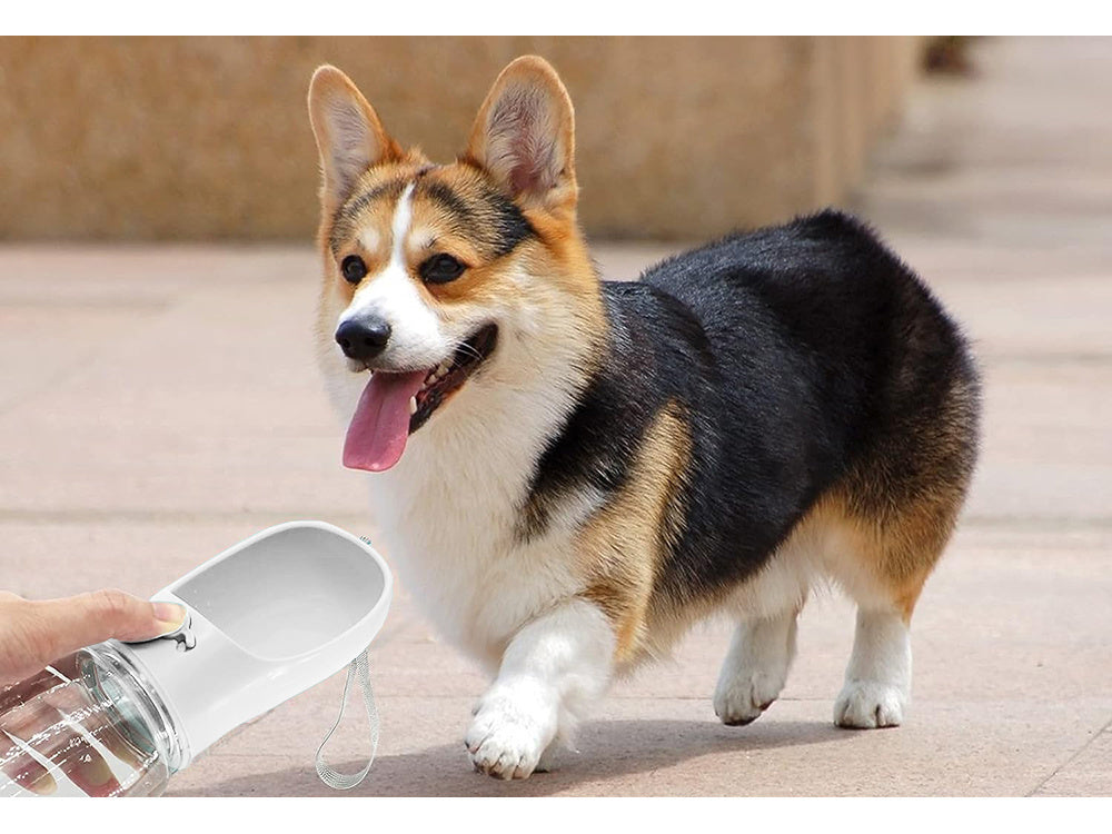 Vandens dubenėlis nešiojamam šuniui walking poison 380ml, Baltas, Szín, Fehér