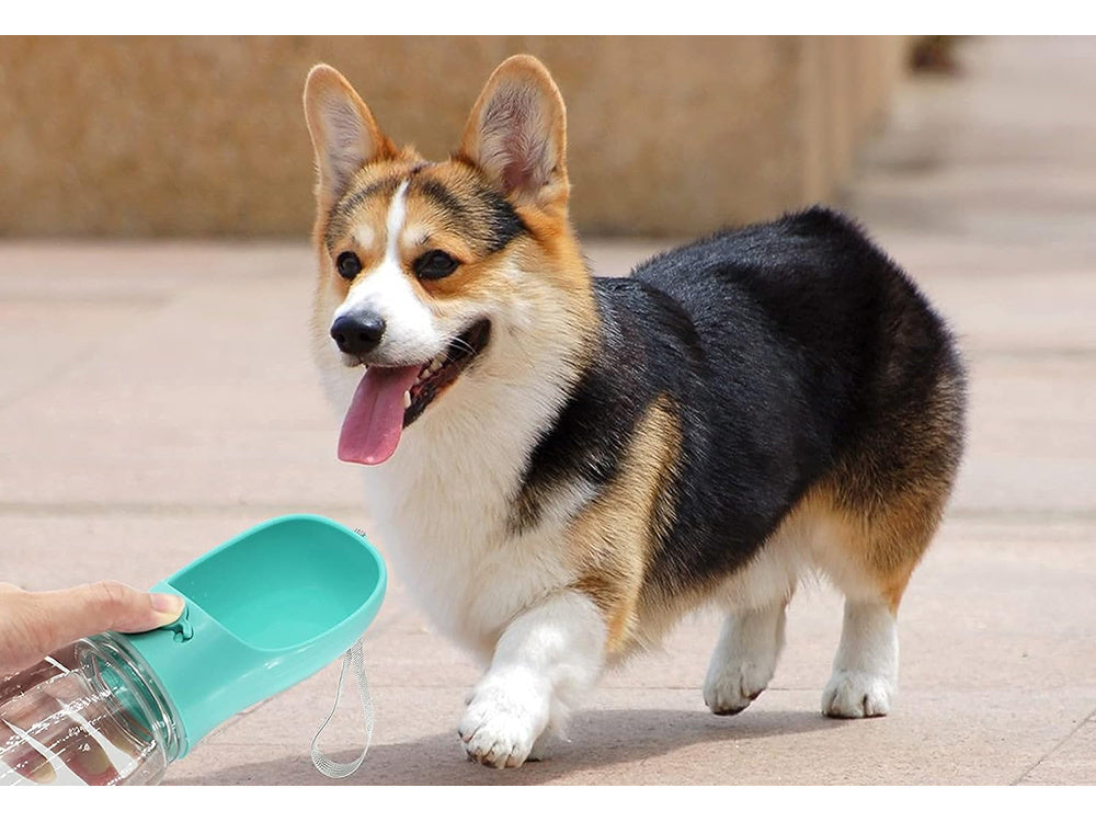 Vandens dubenėlis nešiojamam šuniui walking poison 380ml, Mėlyna, Szín, Kék