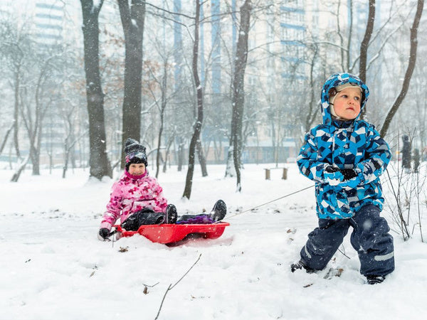 Plastikinės rogutės su atlošu, stabdžiais ir traukimo virve