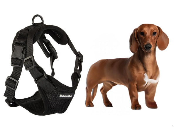 Pakaba be spaudimo vaikščiojimo diržai mažiems šunims rankena lengva minkšta stipri m, Juoda, Szín, Fekete
