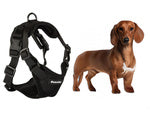 Pakaba be spaudimo vaikščiojimo diržai mažiems šunims rankena lengva minkšta stipri m, Juoda, Szín, Fekete