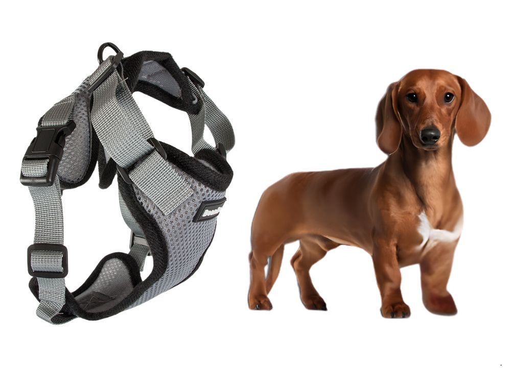 Pakaba be spaudimo vaikščiojimo diržai mažiems šunims rankena lengva minkšta stipri m, Pilka, Szín, Szürke