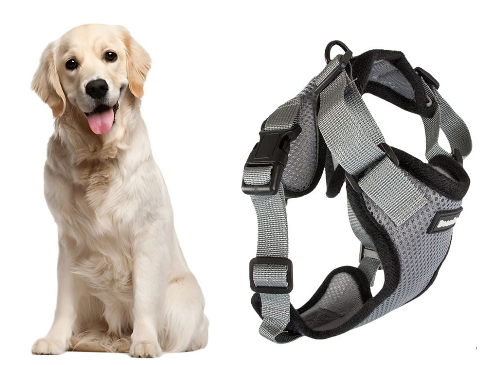 Diržai be spaudimo šunų vaikščiojimo diržai rankena lengva minkšta stipri sagtis xl, Pilka, Szín, Szürke