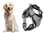 Diržai be spaudimo šunų vaikščiojimo diržai rankena lengva minkšta stipri sagtis xl, Pilka, Szín, Szürke