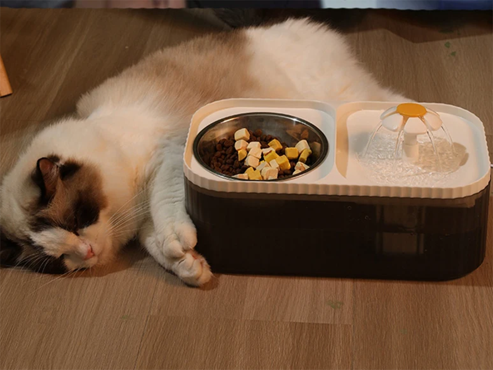 Automatinis kačių gertuvė šuns vandens fontanas filtras maisto dubuo, Baltas, Szín, Fehér