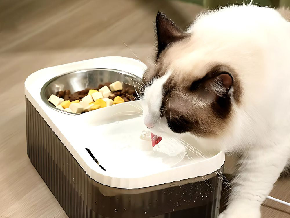 Automatinis kačių gertuvė šuns vandens fontanas filtras maisto dubuo, Baltas, Szín, Fehér