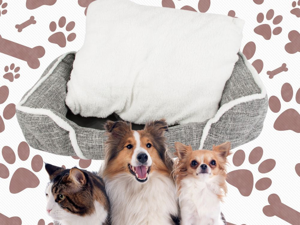 Šuns lova minkšta, patogi, pūkuota lova su pagalvėle l dydžio