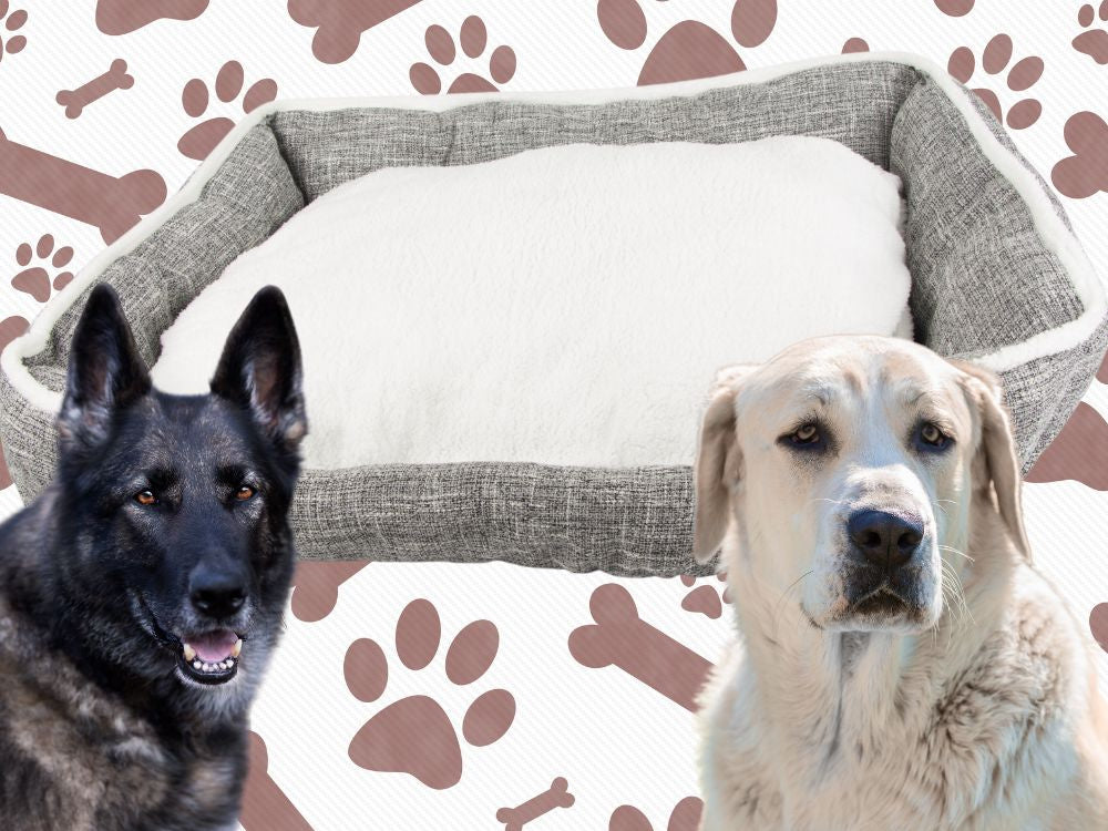 Šuns lova minkšta, patogi, pūkuota lova su pagalve xl dydžio