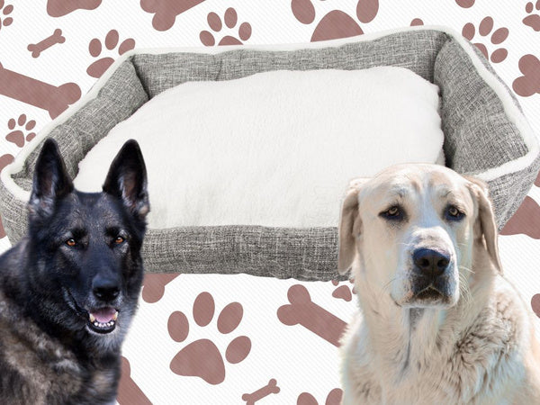 Šuns lova minkšta, patogi, pūkuota lova su pagalve xl dydžio