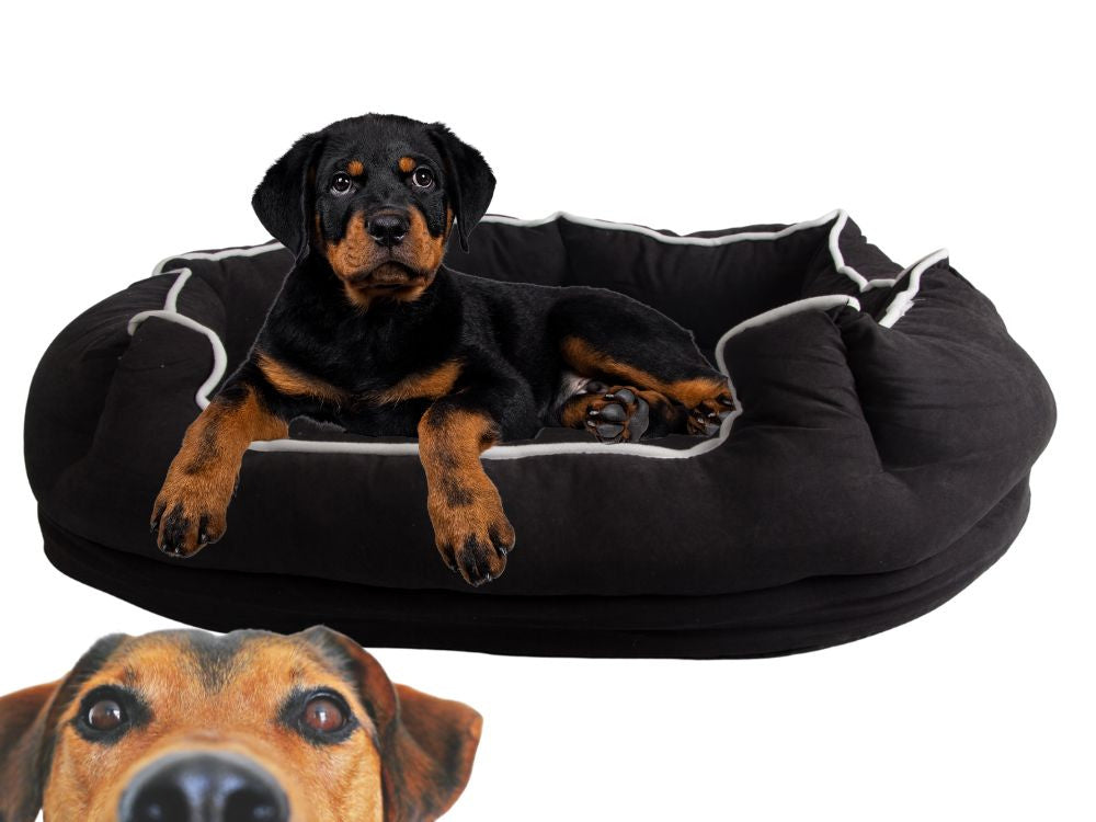 Pliušinė patalynė šuns lova katės žaidimų aikštelė patogus minkštas pliušas, Juoda, Szín, Fekete