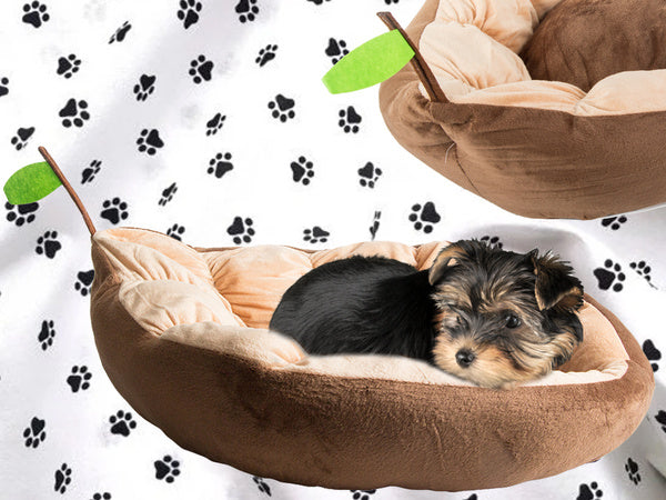 Pliušinė lova pagalvėlė šuniui žaidimų aikštelė katei minkšta sofos patalynė, Ruda, Szín, Barna