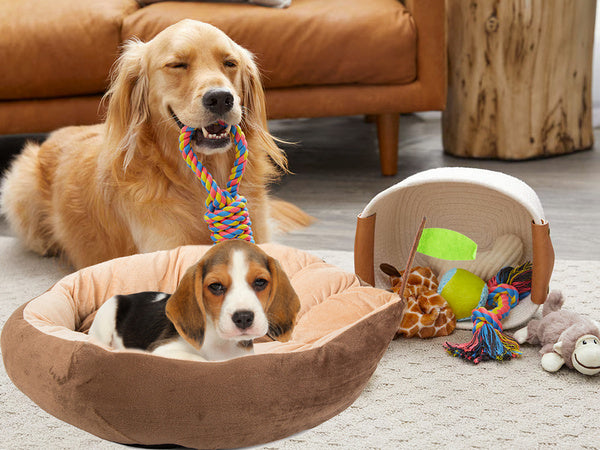 Pliušinė lova pagalvėlė šuniui žaidimų aikštelė katei minkšta sofos patalynė, Ruda, Szín, Barna