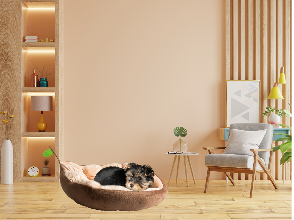 Pliušinė lova pagalvėlė šuniui žaidimų aikštelė katei minkšta sofos patalynė, Ruda, Szín, Barna