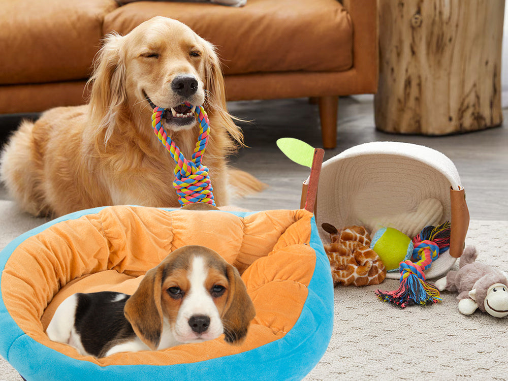 Pliušinė lova pagalvėlė šuniui žaidimų aikštelė katei minkšta sofos patalynė, Mėlyna, Szín, Kék