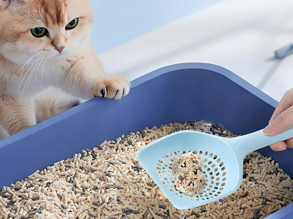 Kačių kraiko semtuvėlis didelis kraiko semtuvėlis plastikinis tvirtas