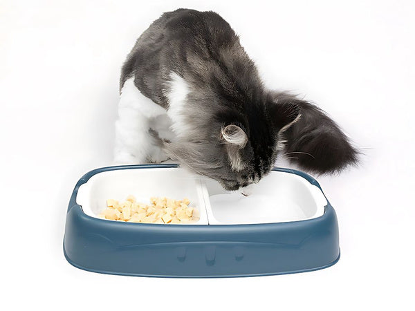 Dvigubas dubenėlis šuniui ir katei nuimami vandens ir maisto dubenėliai dideli plastikiniai, Mėlyna, Szín, Kék