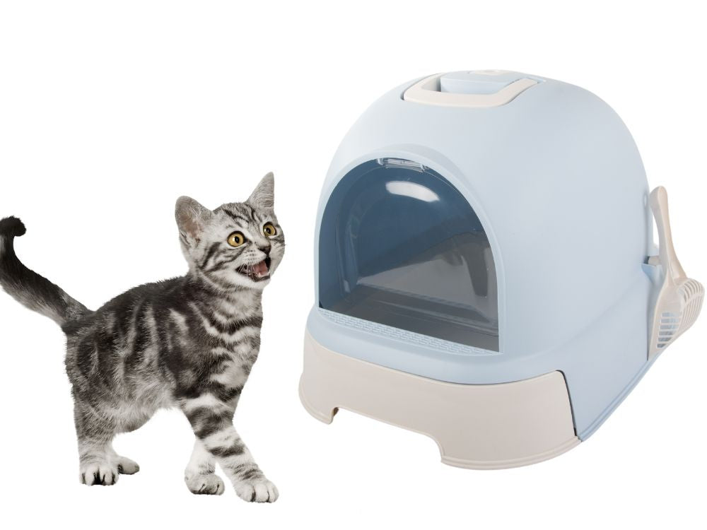 Kačių kraiko dėklas didelis uždaras kraiko semtuvėlis tvirtas ištraukiamas, Įvairiaspalvis, Szín, Sokszínű